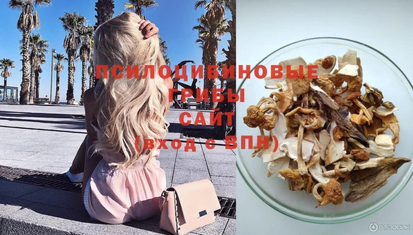 mdpv Алзамай