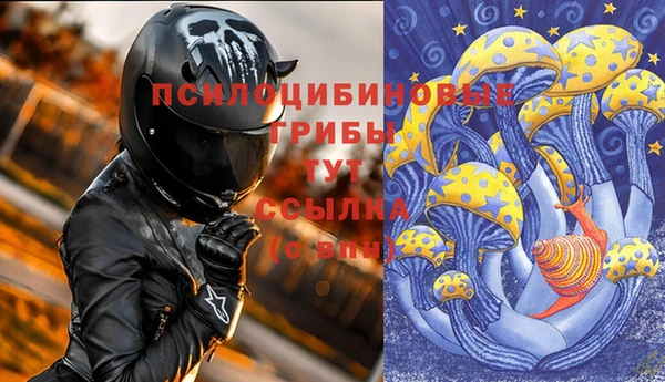 гашик Алексеевка