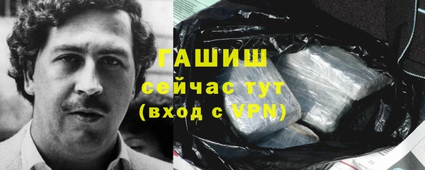 гашик Алексеевка