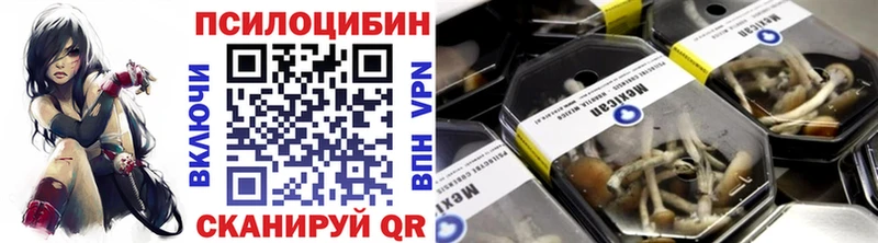 Галлюциногенные грибы Magic Shrooms  где купить наркотик  Менделеевск 