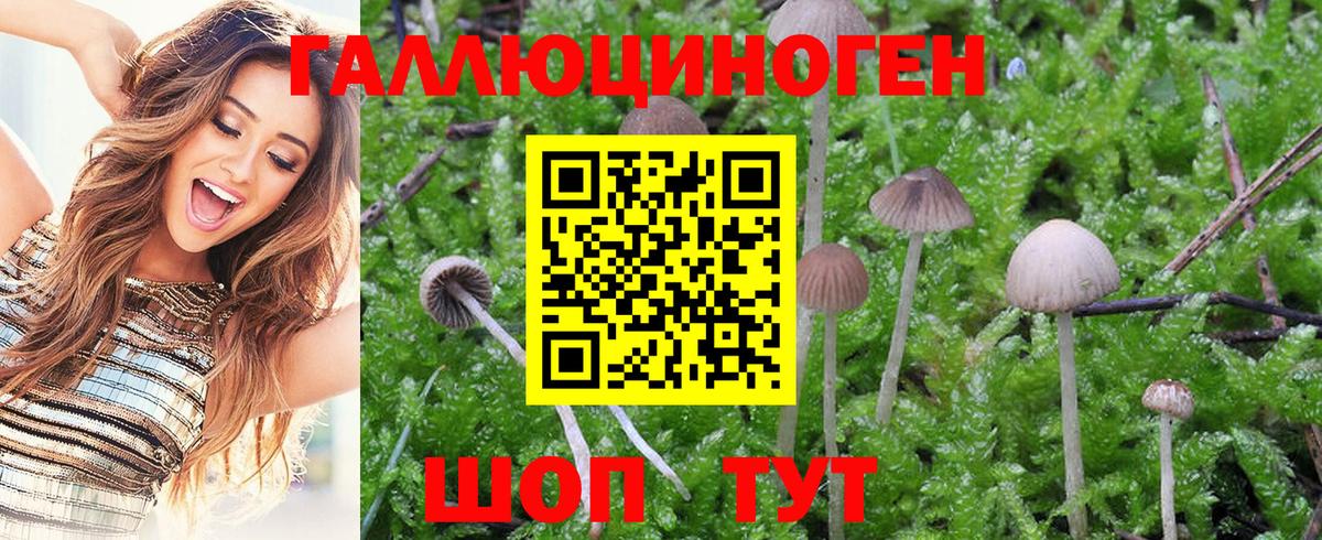 Галлюциногенные грибы Magic Shrooms Менделеевск