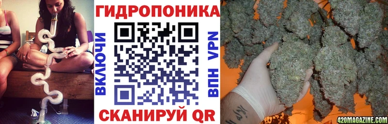 Марихуана план  Менделеевск 